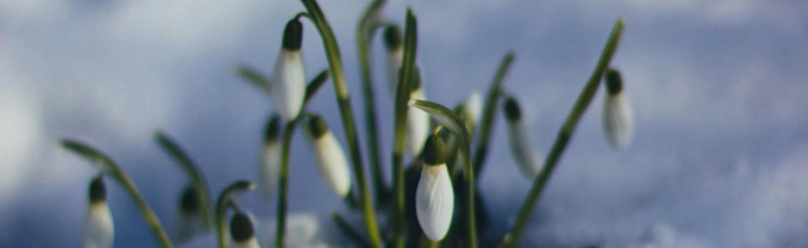 Forår og forandring