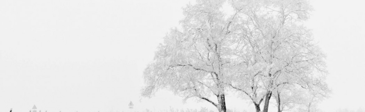 Det er sundt at fokusere på det gode før det sker